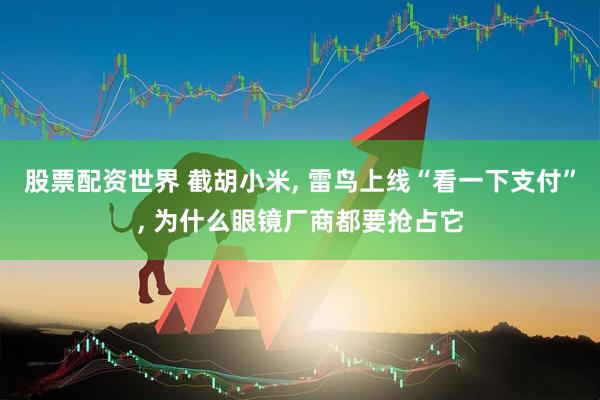 股票配资世界 截胡小米, 雷鸟上线“看一下支付”, 为什么眼镜厂商都要抢占它